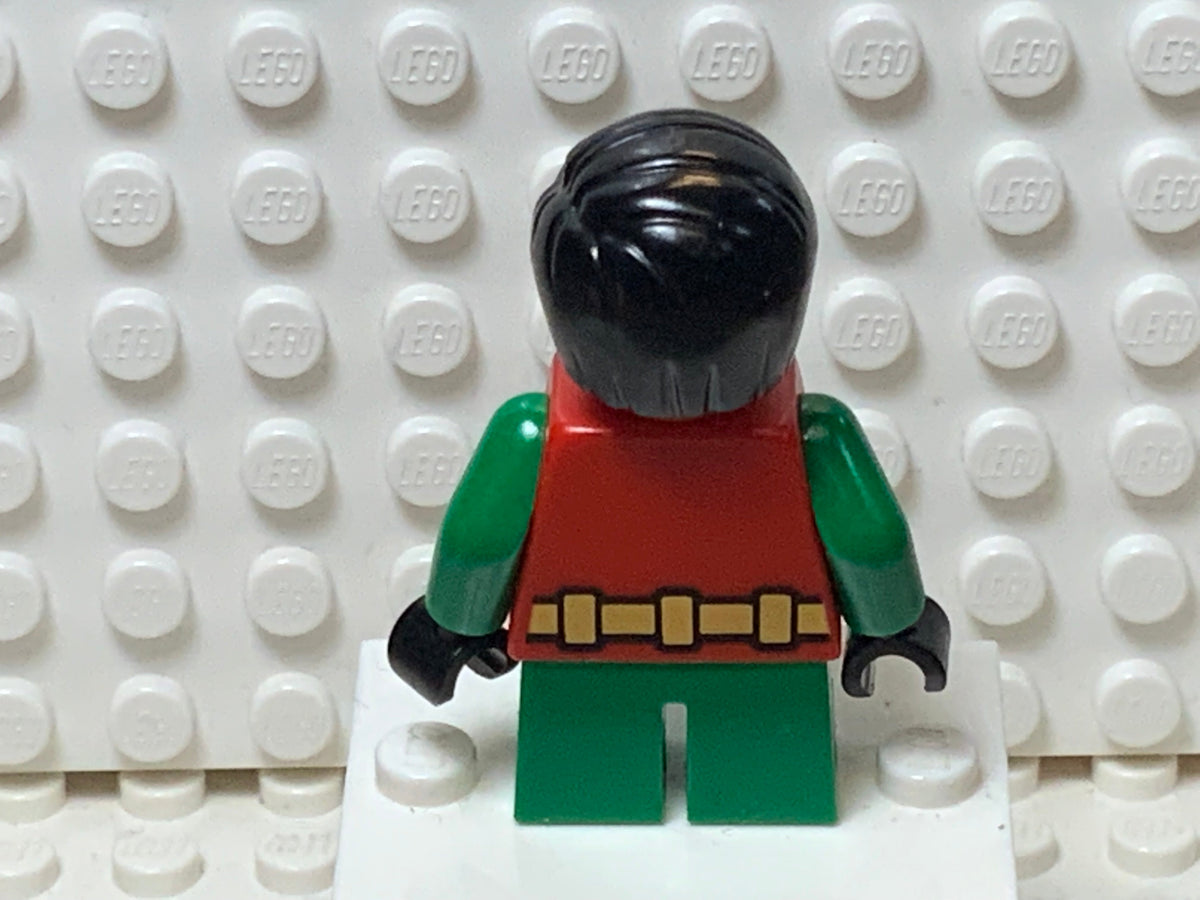 Robin, sh0244