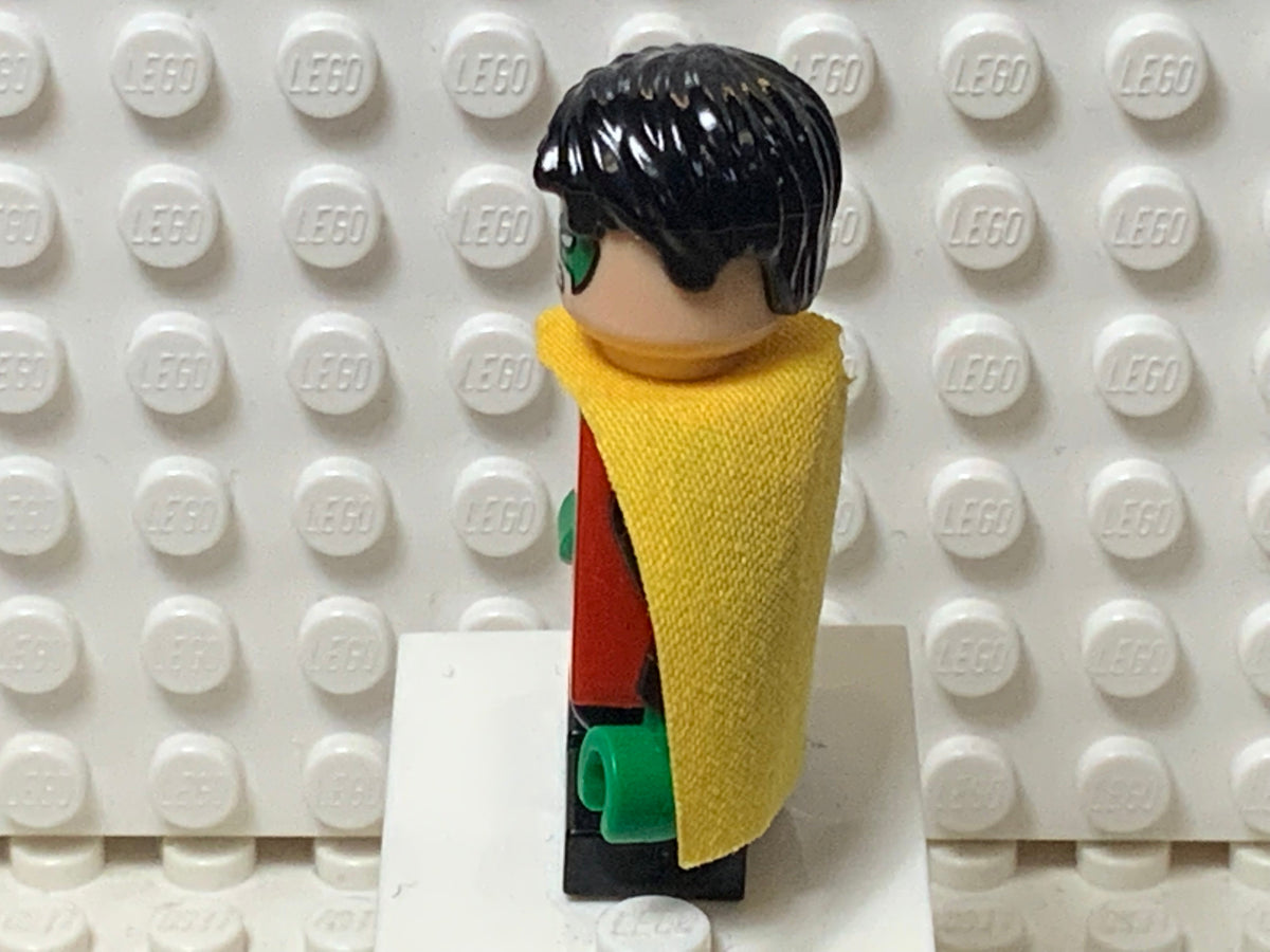 Robin, sh0091
