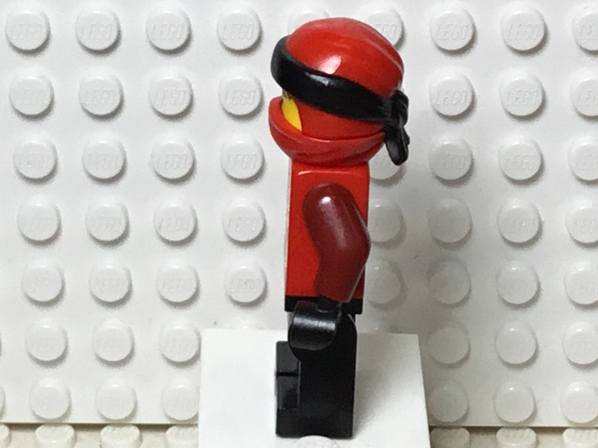 Kai (Dragon Masters), njo0452 - LEGO® Ninjago Minifigure