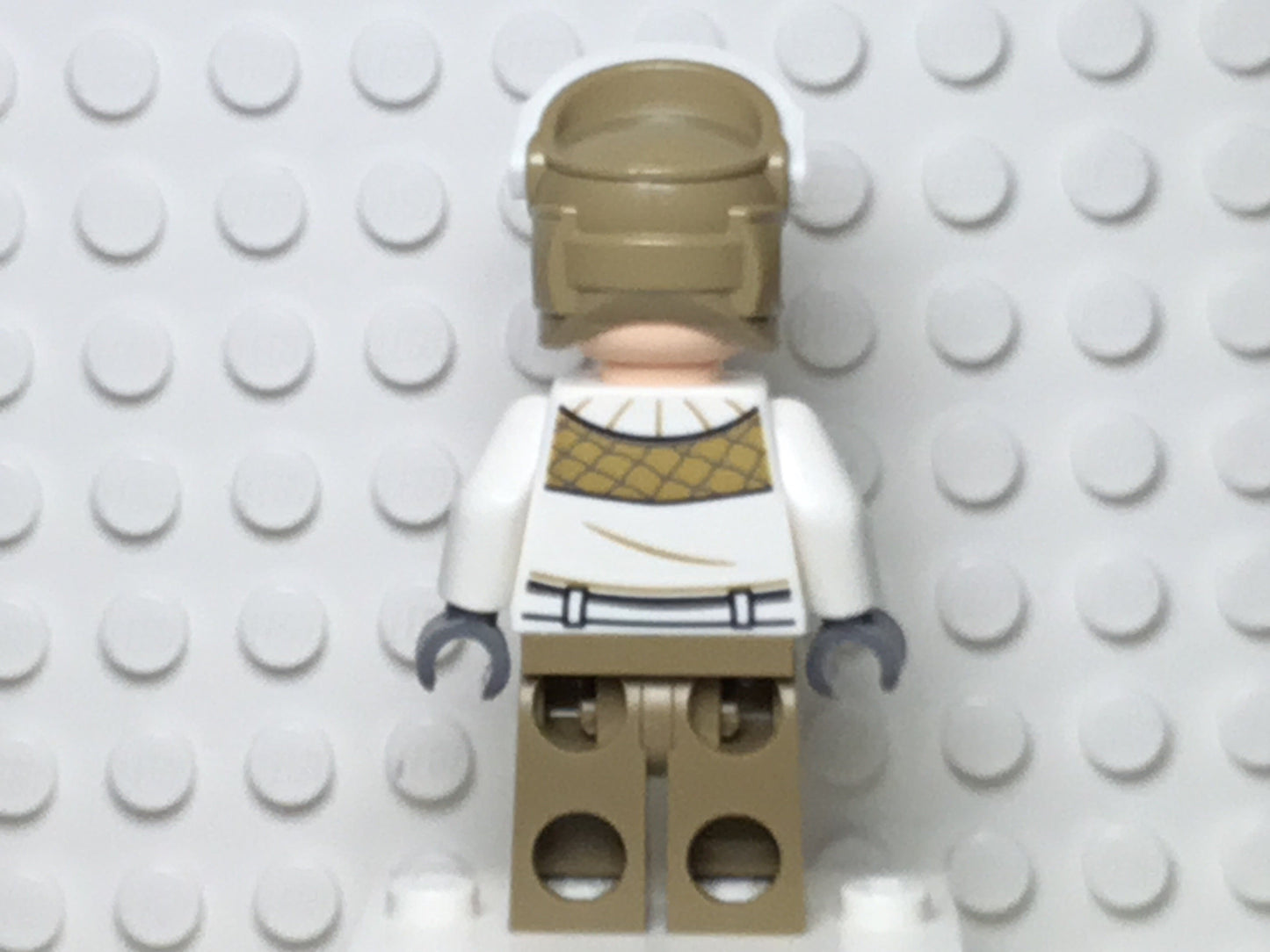 Hoth Rebel Trooper, sw1016