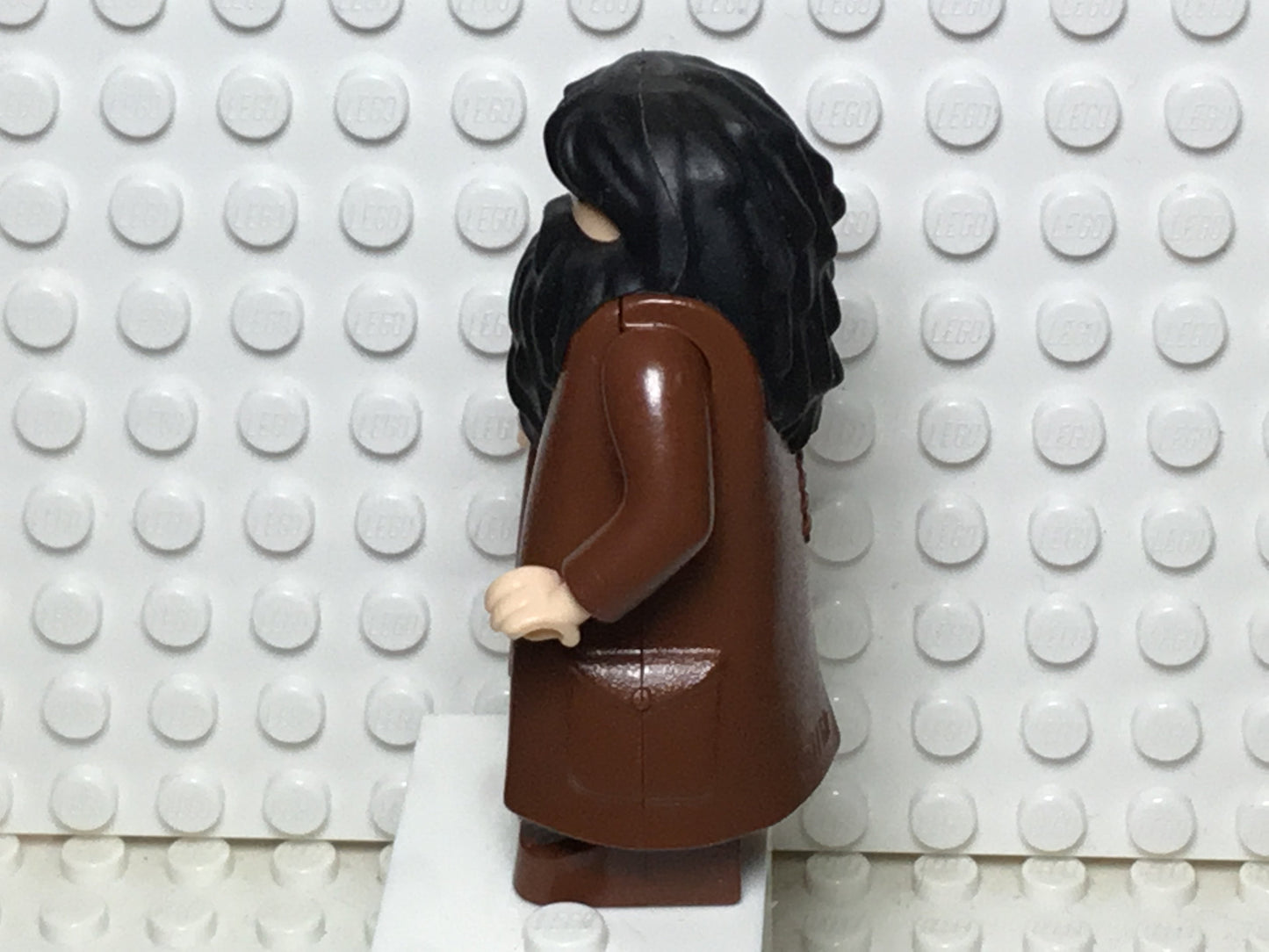 Rubeus Hagrid, hp061