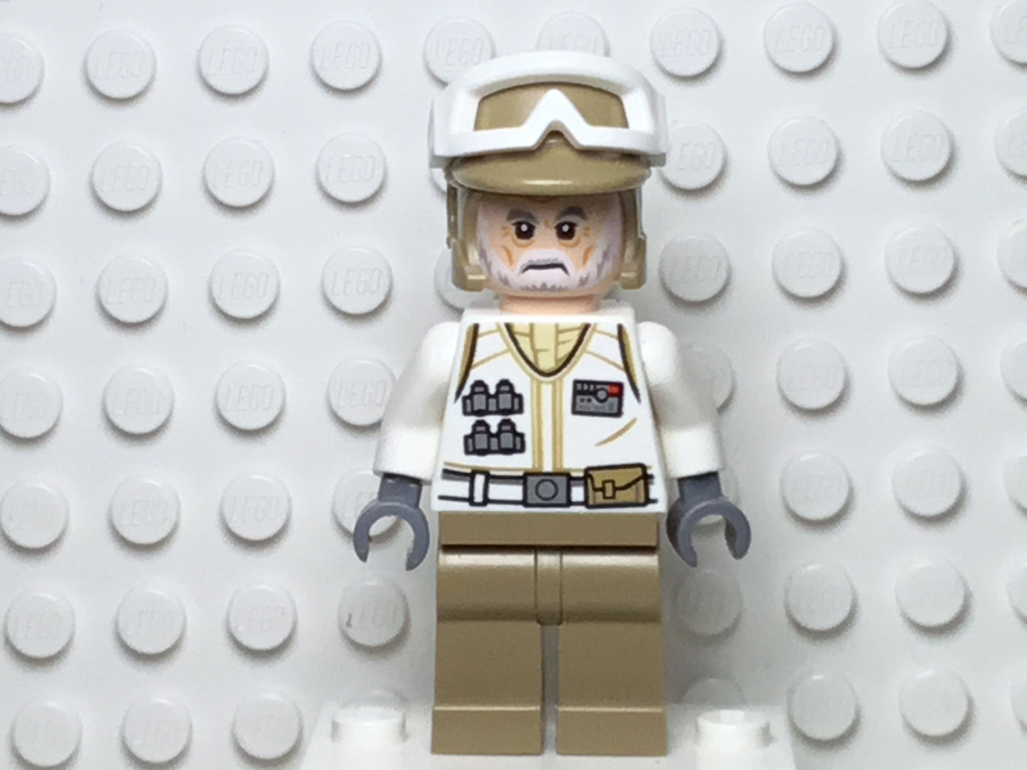 Hoth Rebel Trooper, sw1014