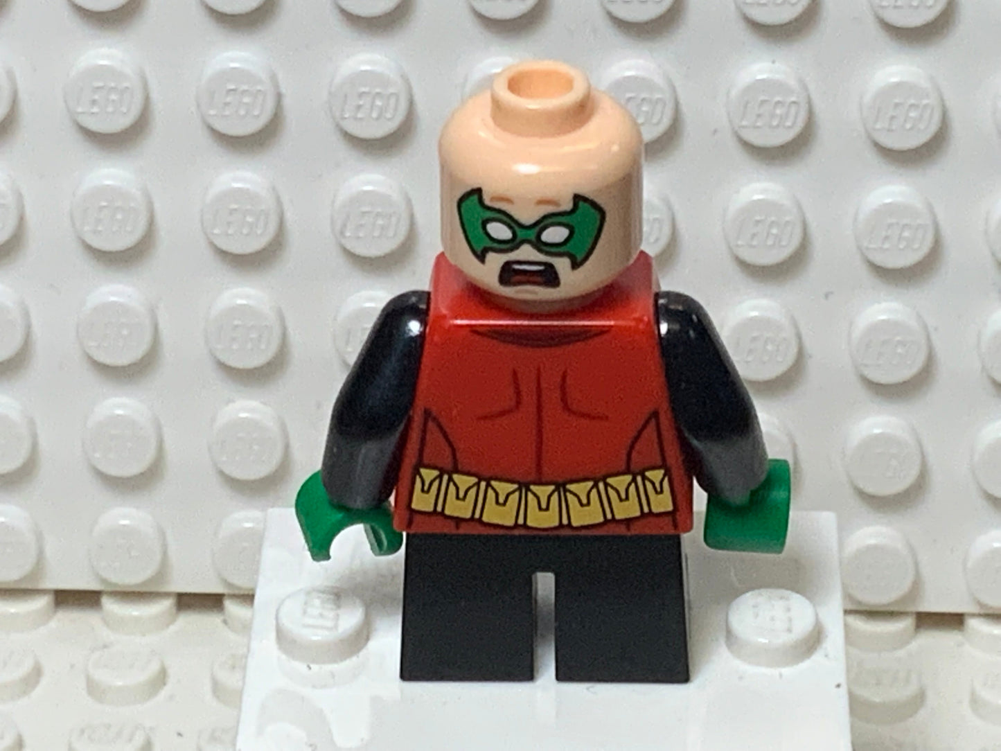Robin, sh0091