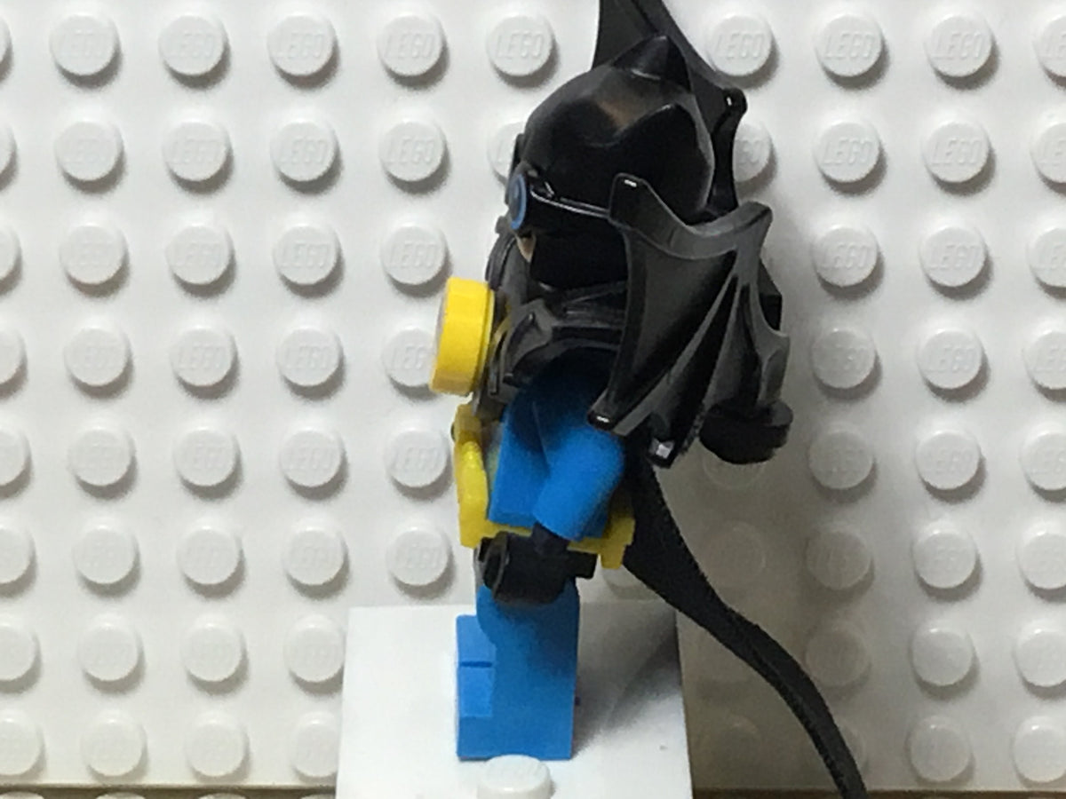 Nightwing, sh0442