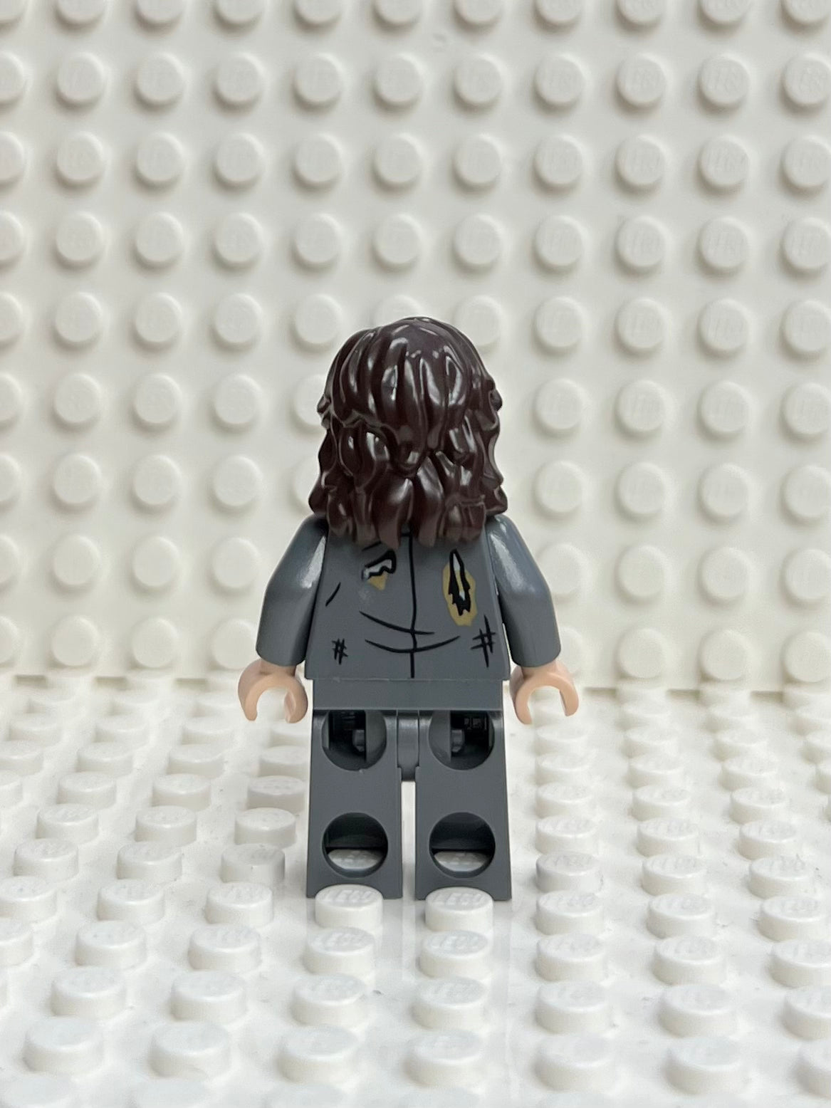 Sirius Black, hp352