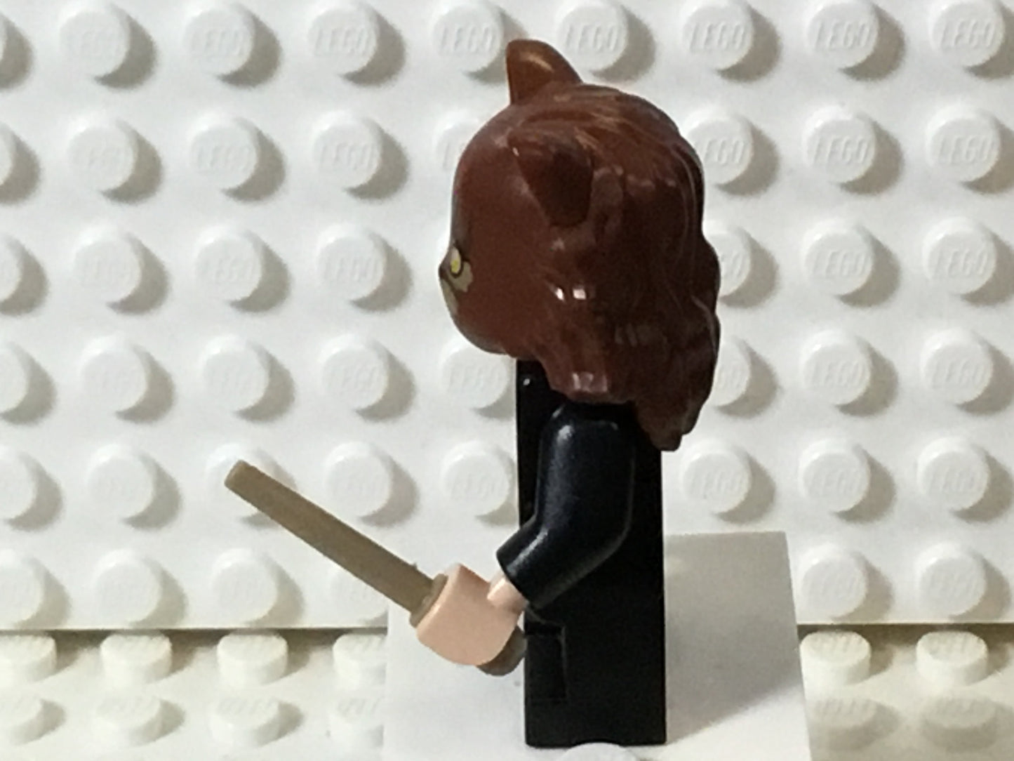 Hermione Granger, hp286