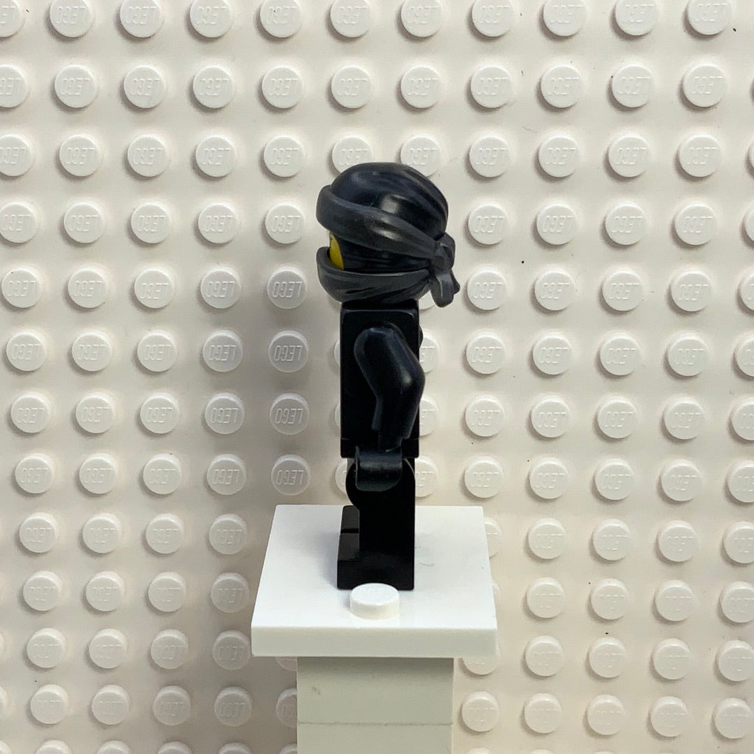 Nya (Spinjitzu Masters), njo0404 - LEGO® Ninjago Minifigure