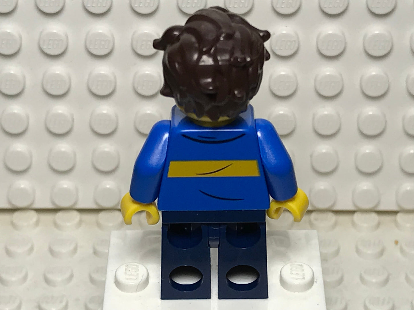 Urban Jay, njo0655 - LEGO® Ninjago Minifigure