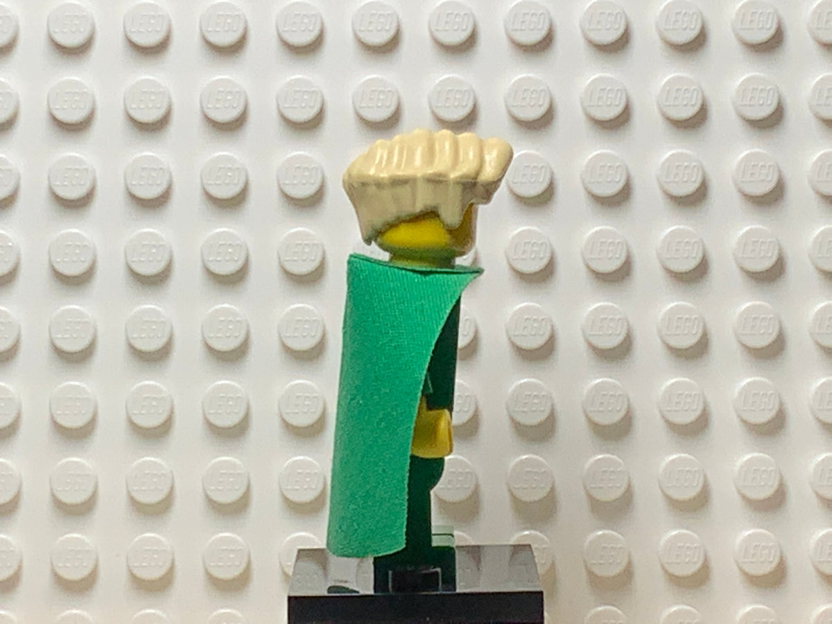 Professor Gilderoy Lockhart, hp028