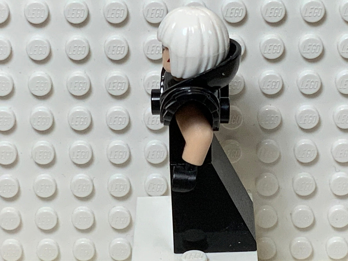 Magpie sh0333
