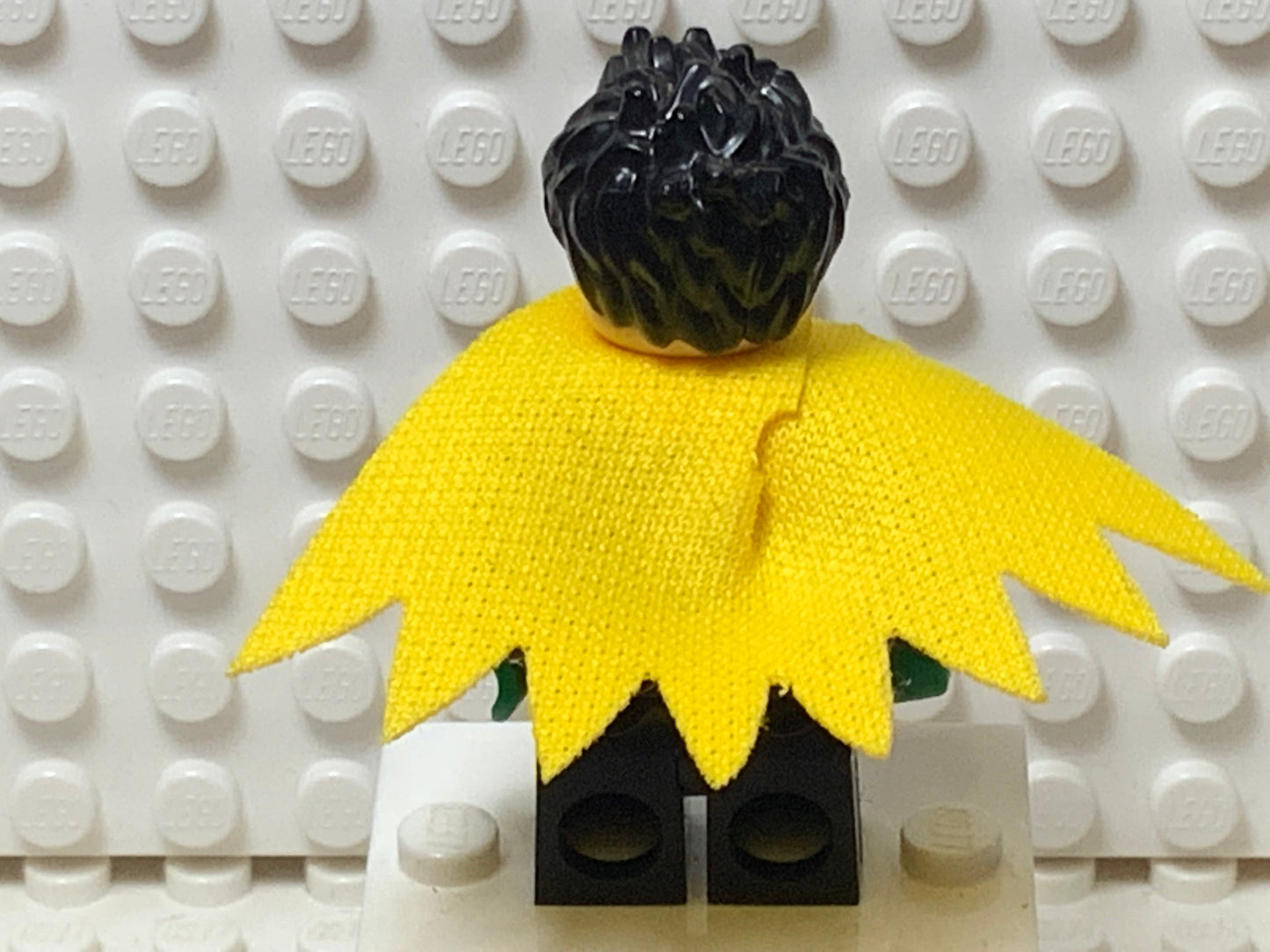 Robin, sh0651
