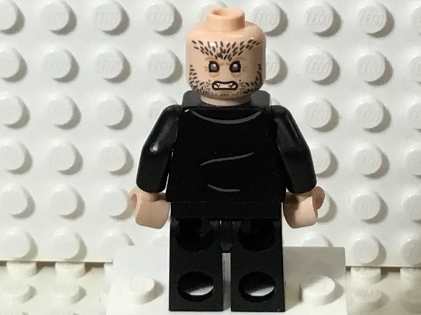 Fenrir Greyback, hp209