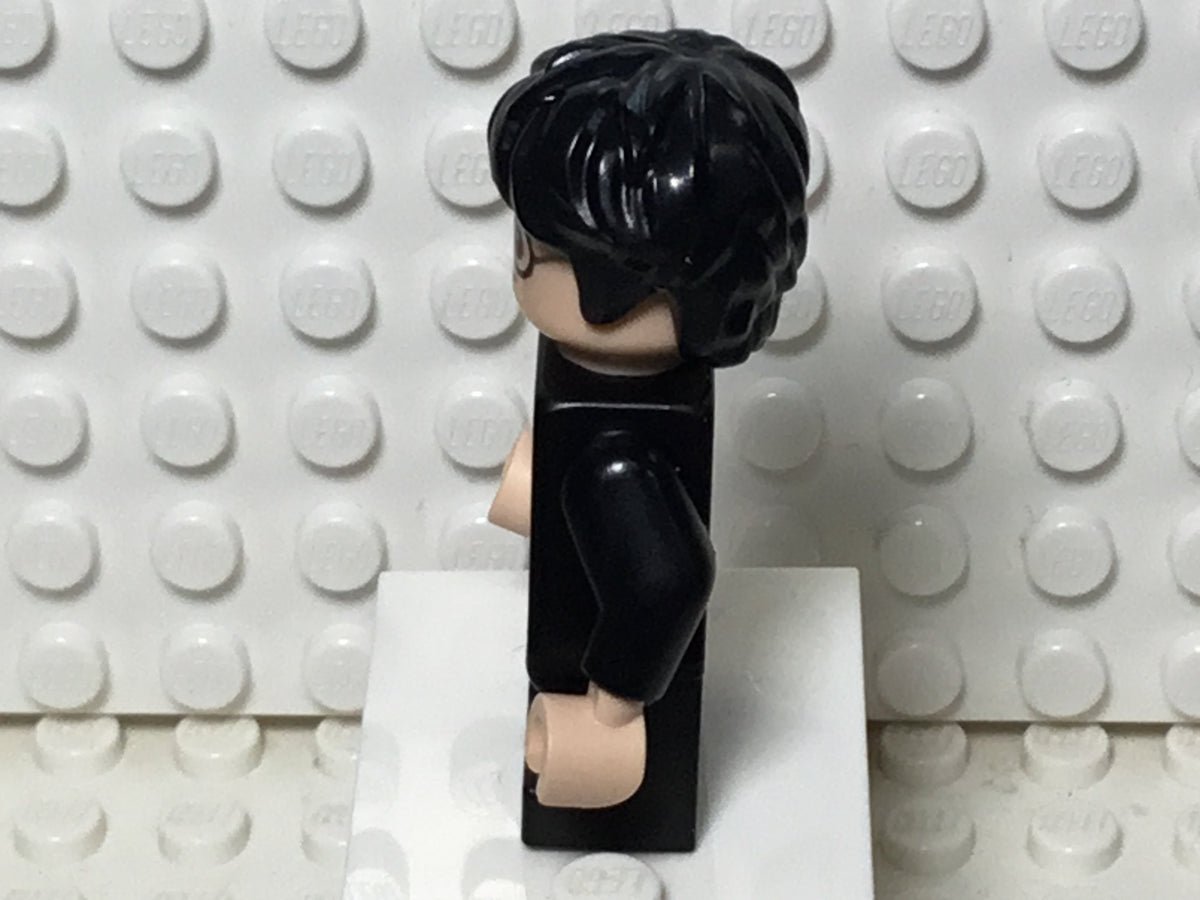Harry Potter, hp314, LEGO® Harry Potter™ Minifigure