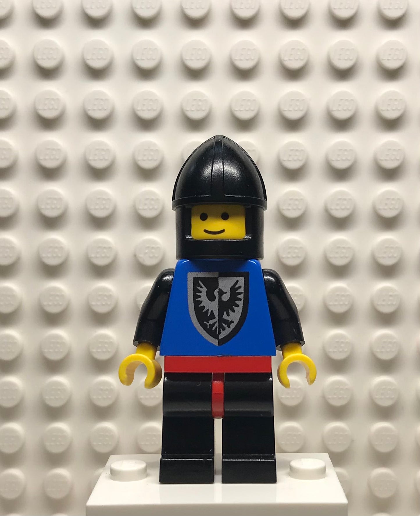Black Falcon, Black Legs with Red Hips, Black Chin-Guard, cas098