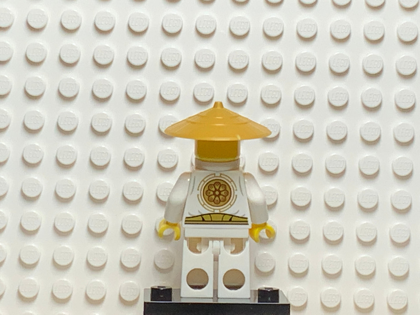 Sensei Wu, njo0180