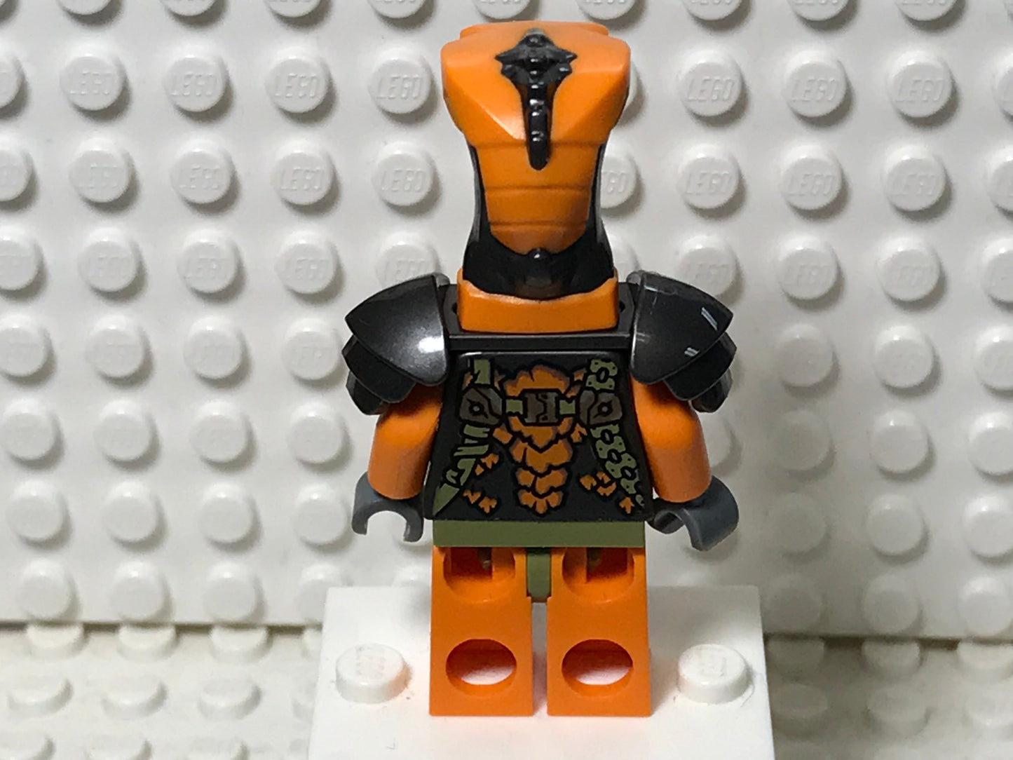 Boa Destructor, njo0752