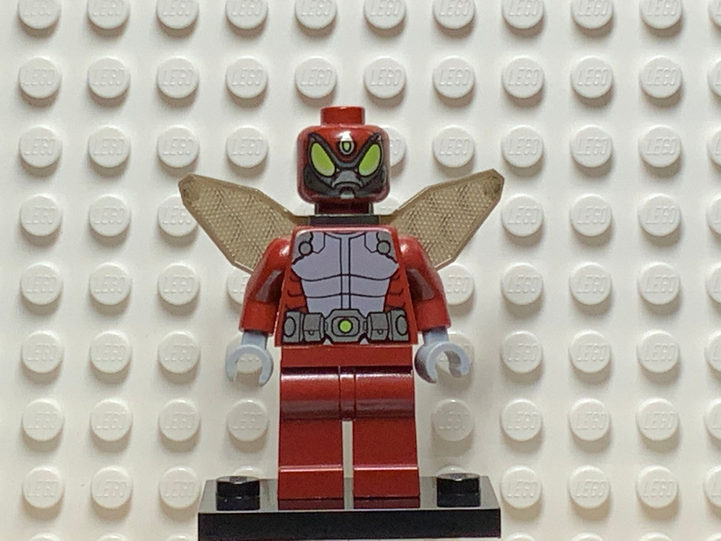 Beetle, sh0053