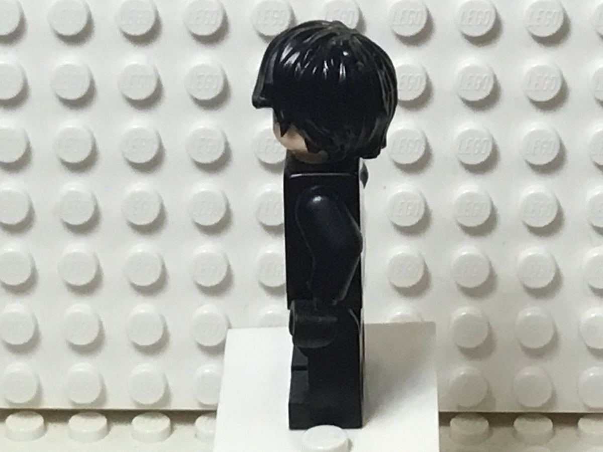 Nightwing, sh0659