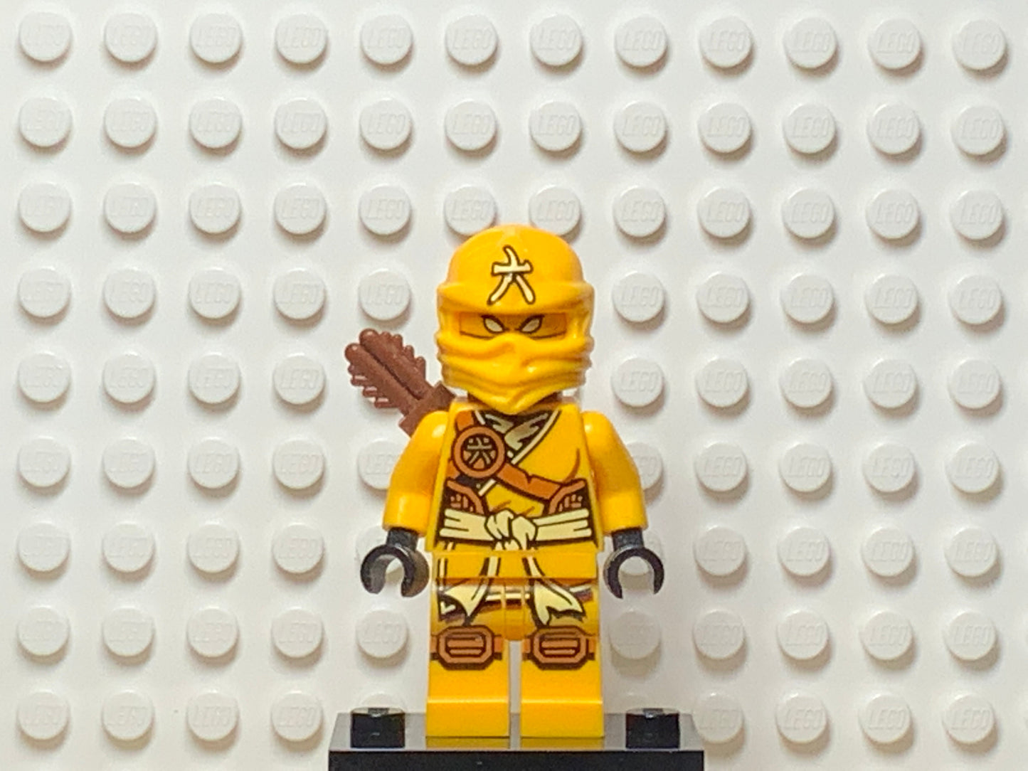 Skylor (Jungle Robe) - Tournament of Elements, njo0135 - LEGO® Ninjago Minifigure