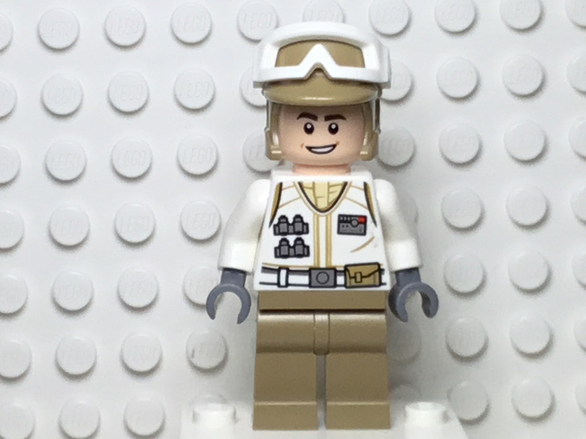 Hoth Rebel Trooper, sw1016