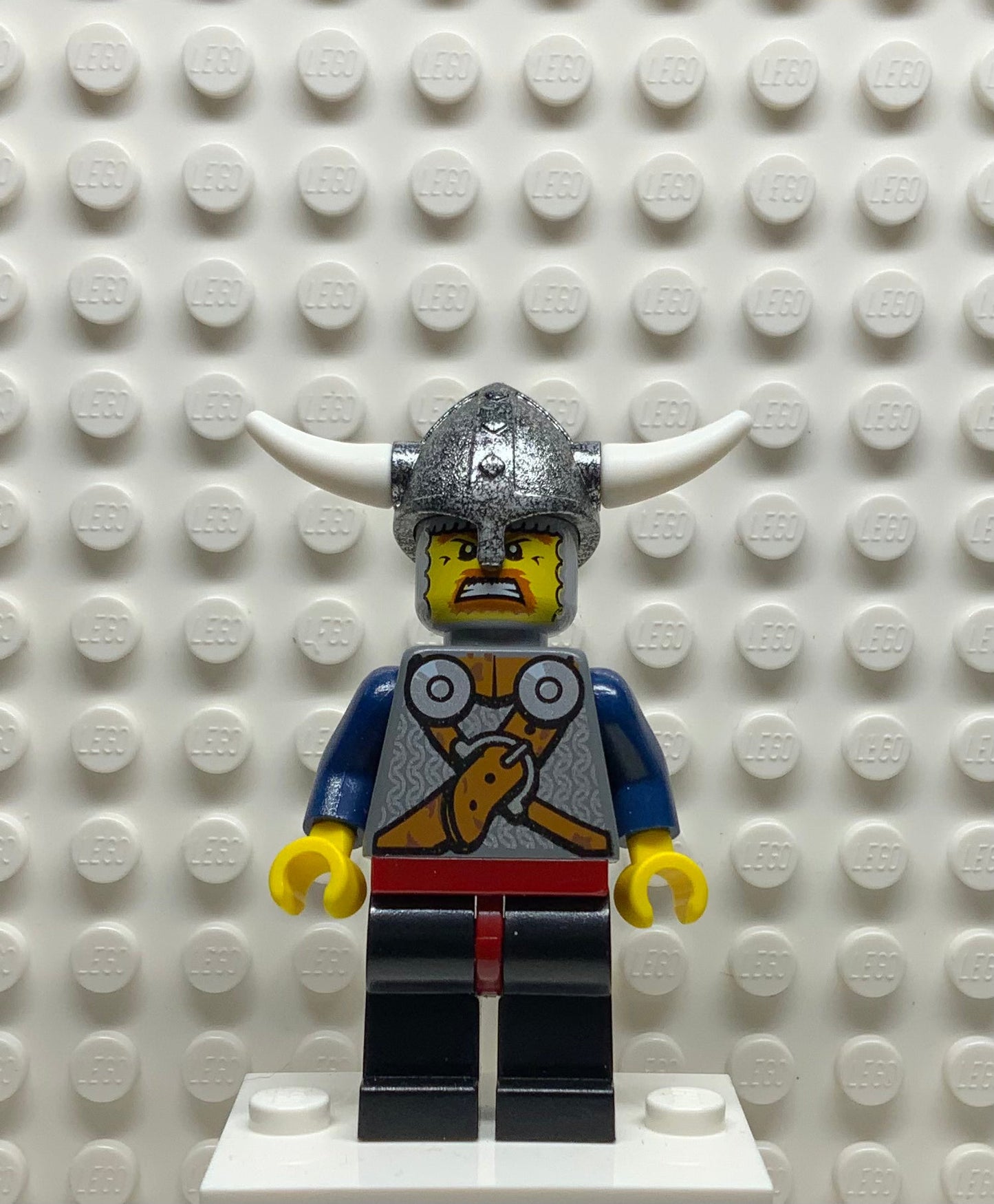 Viking Warrior 1b, vik019