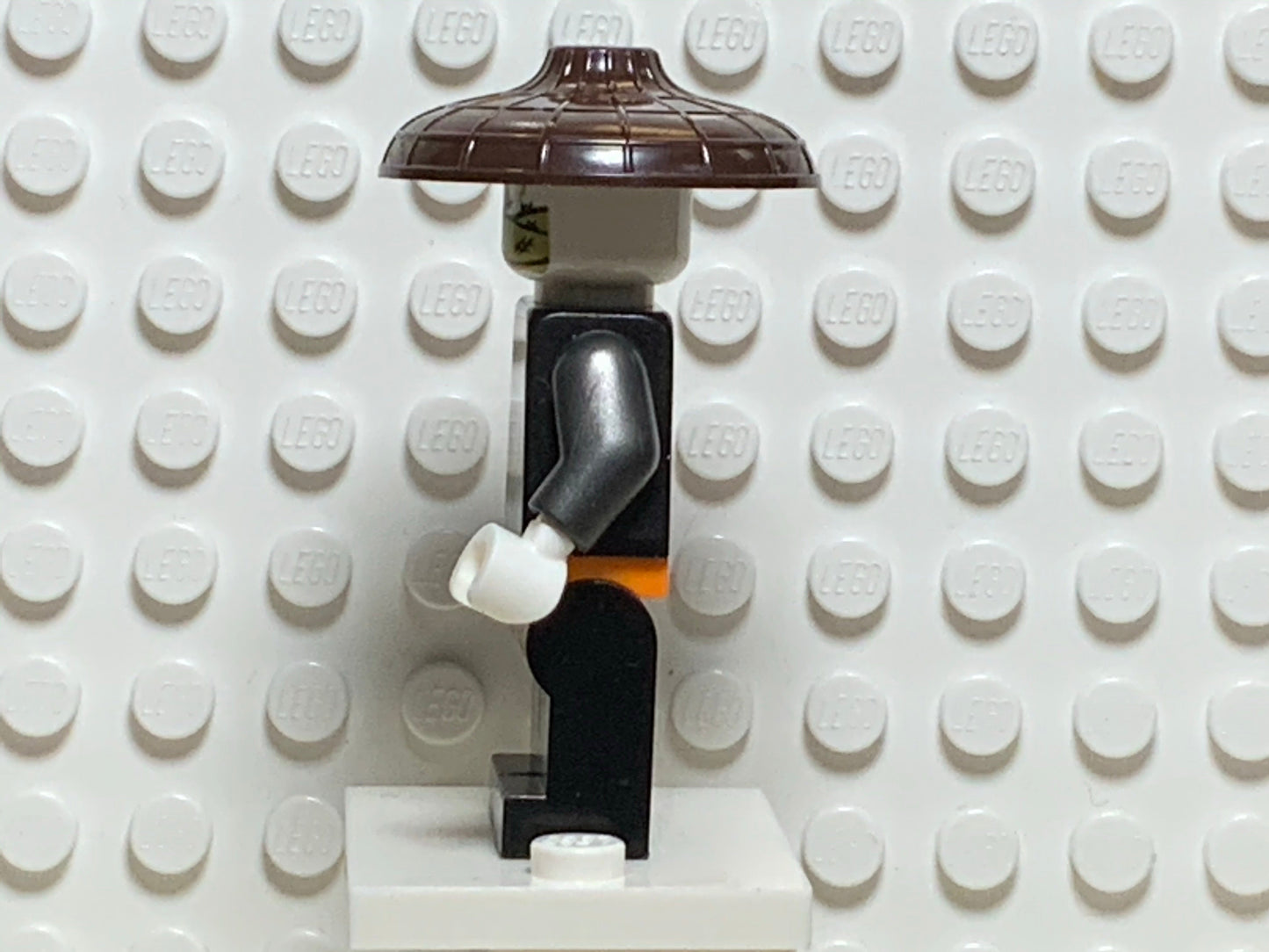 Dragon Hunter, njo0488 - LEGO® Ninjago Minifigure