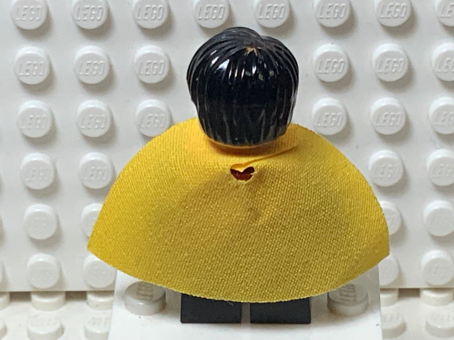 Robin, sh0091