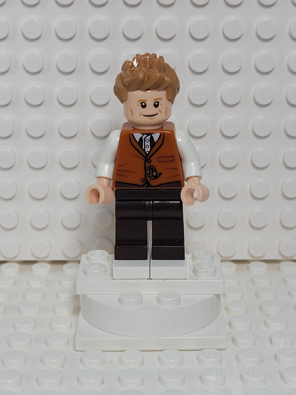 Newt Scamander, hp165