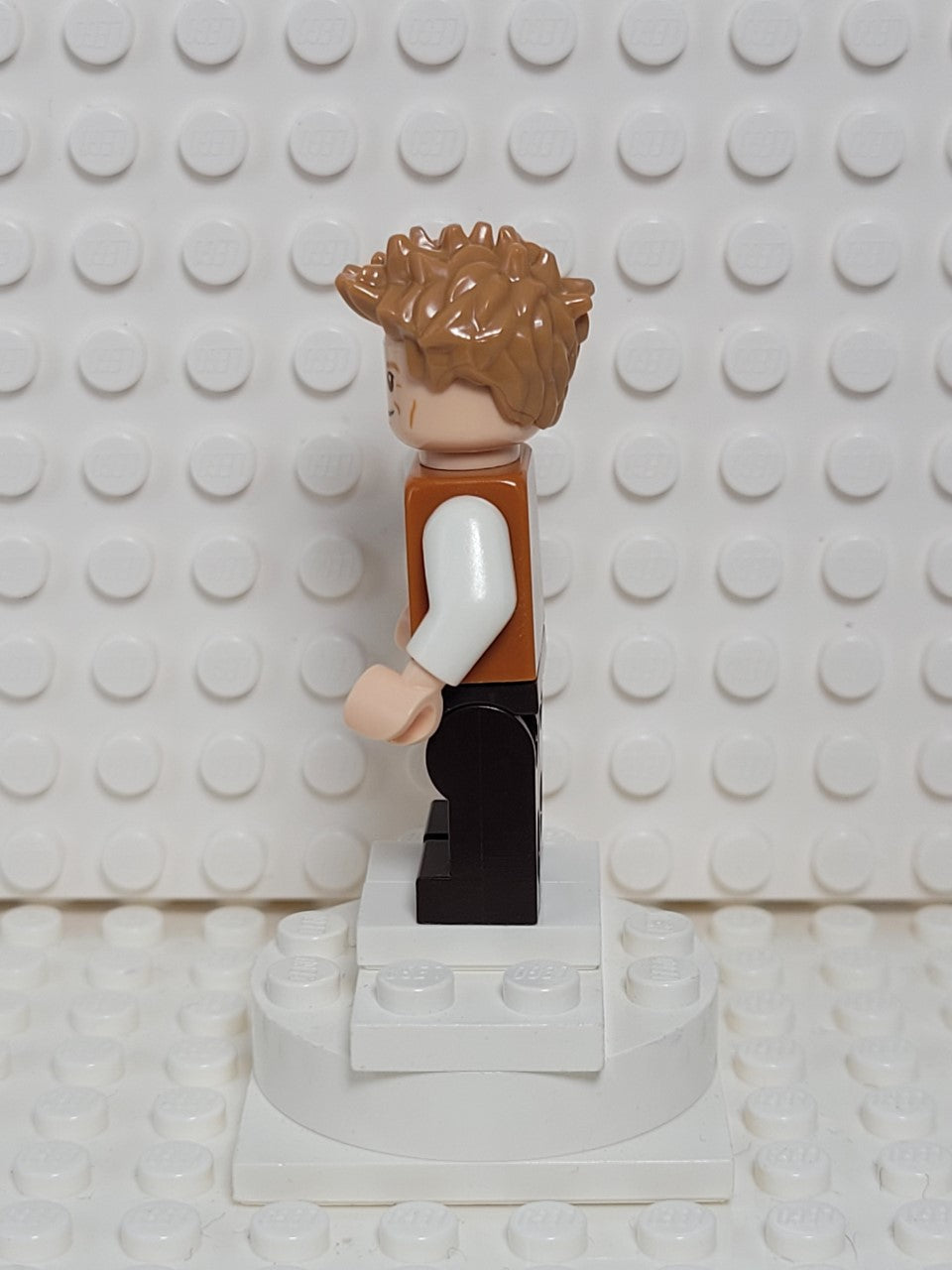 Newt Scamander, hp165