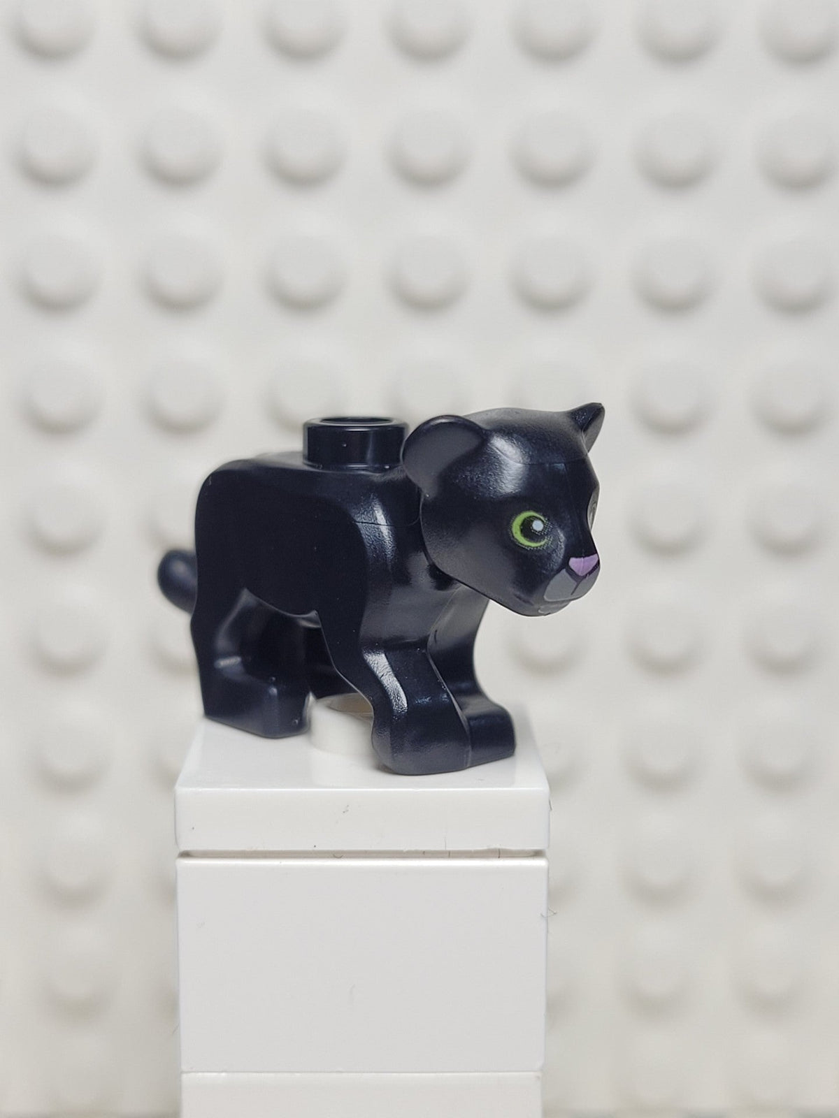 Panther cub, 77307pb03