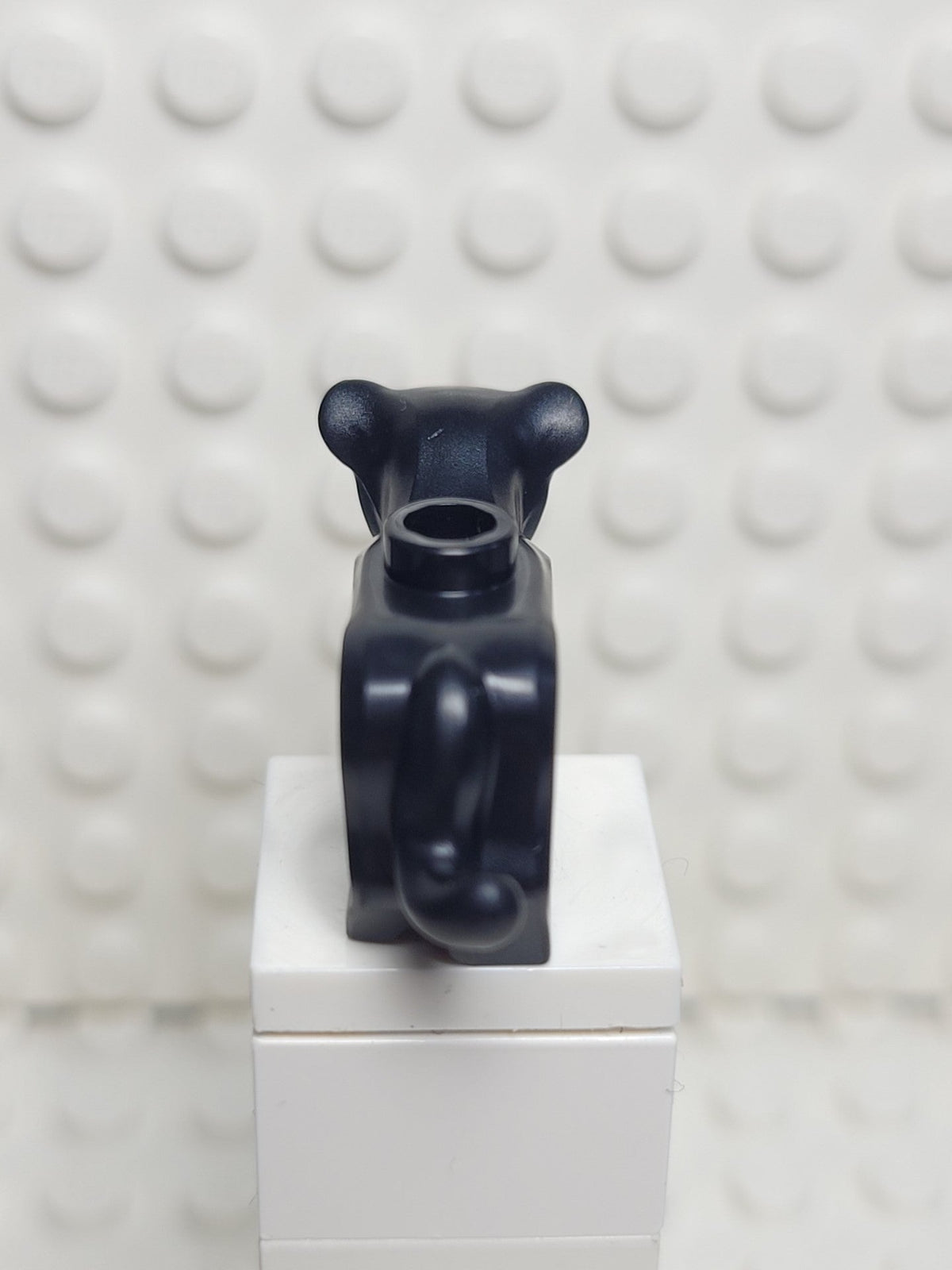 Panther cub, 77307pb03